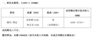 招聘操作 有意向在旅游业长期发展,阿联酋迪拜某国际旅游公司 工作